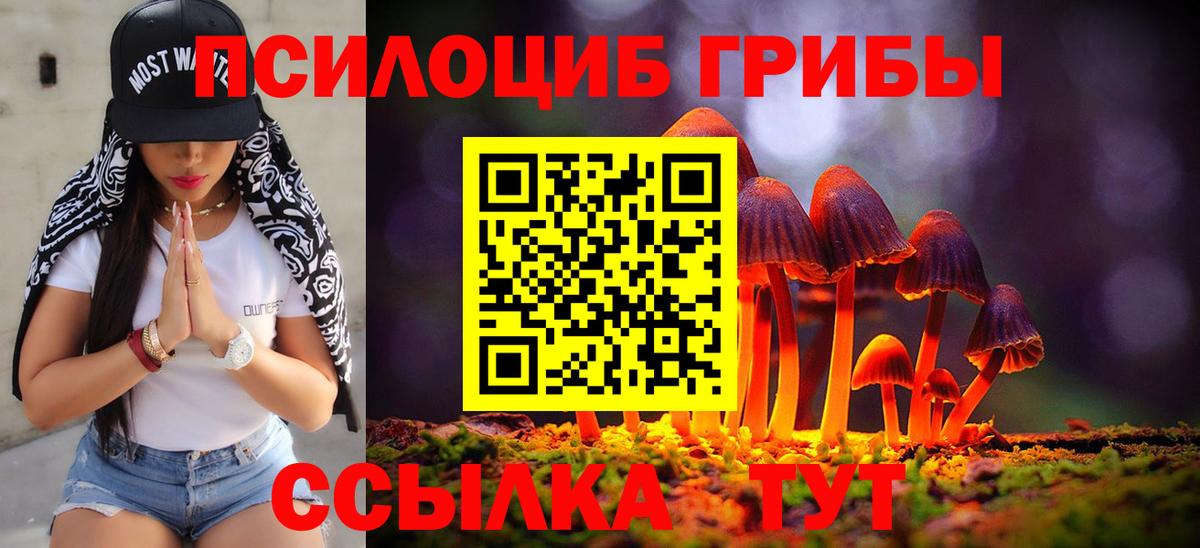 Галлюциногенные грибы MAGIC MUSHROOMS  Вход с VPN  даркнет сайт  Сертолово 
